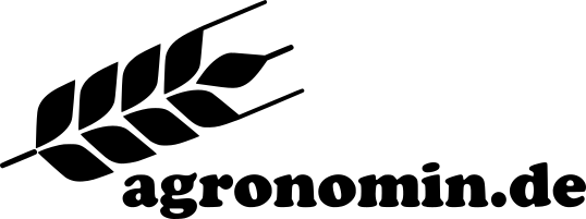 Die Zeit des Hexenwahns